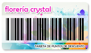 Ejemplo de tarjeta de puntos de descuento en pvc